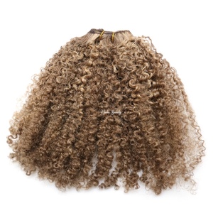 Rambut Asli Warna Pirang Abu-abu dengan Highlight Pirang Madu Gelap, Afro Kinky Curly 27, Warna Cokelat Muda, Ekstensi Rambut Manusia Kinky Curly - Product Image 2