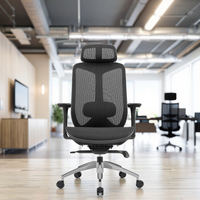 Chaise de bureau ergonomique moderne en maille avec appui-tête réglable, support lombaire, accoudoirs, vérin à gaz certifié classe 3, alliage d'aluminium, garantie 3 ans