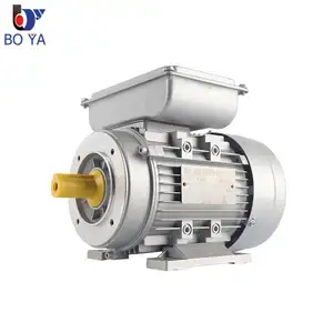 YL Series 0.75KW 1HP Aluminum Shell Single Phase Induction Asynchronous Electric Motors