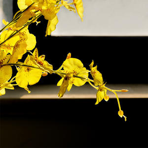 <span class=keywords><strong>Orchidée</strong></span> en plastique de soie durable Phalaenopsis danse artificielle <span class=keywords><strong>Oncidium</strong></span> pour la décoration de salon remise des diplômes de la Saint-Valentin - Product Image 3