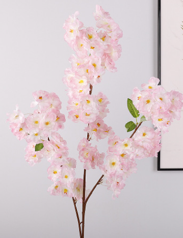 สีชมพูอ่อน