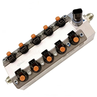New Genuine Injection Valve 1003650716 Replacement for Weichai WP13 Diesel Engine