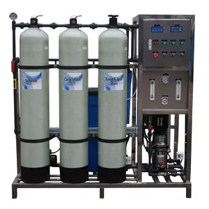 Customized 500lph industry RO system salt water drinking treatment machine for small plant purifier