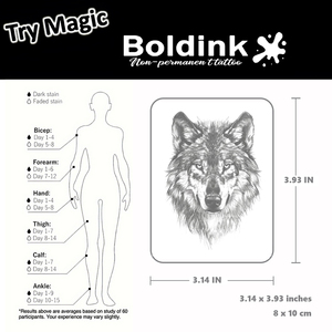 <span class=keywords><strong>Tatuaje</strong></span> semipermanente de tinta Jagua de larga duración (2 semanas), resistente al agua, con diseño de cabeza de <span class=keywords><strong>lobo</strong></span> realista, personalizado por Boldink, para la parte delantera del <span class=keywords><strong>brazo</strong></span>. - Product Image 3