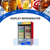 Refrigerador de Doble Puerta de Gran Capacidad, 110V-240V, Refrigerador de Voltaje Amplio, Puerta de Vidrio, Enfriador de Bebidas y Cerveza