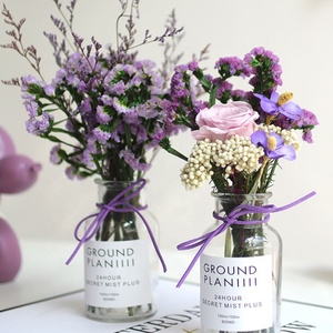 Hermosas Flores Secas de Myosotis Sylvatica, Flores Preservadas de No Me Olvides, <span class=keywords><strong>Limonium</strong></span> Preservado - Product Image 5