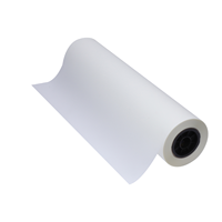 Film PET DTF Double-Sided Norman Hot Peel 75um 60cm 30cm Roll Cetak Ganda A1/A3 Film Transfer Panas untuk Pakaian Tinta Epson