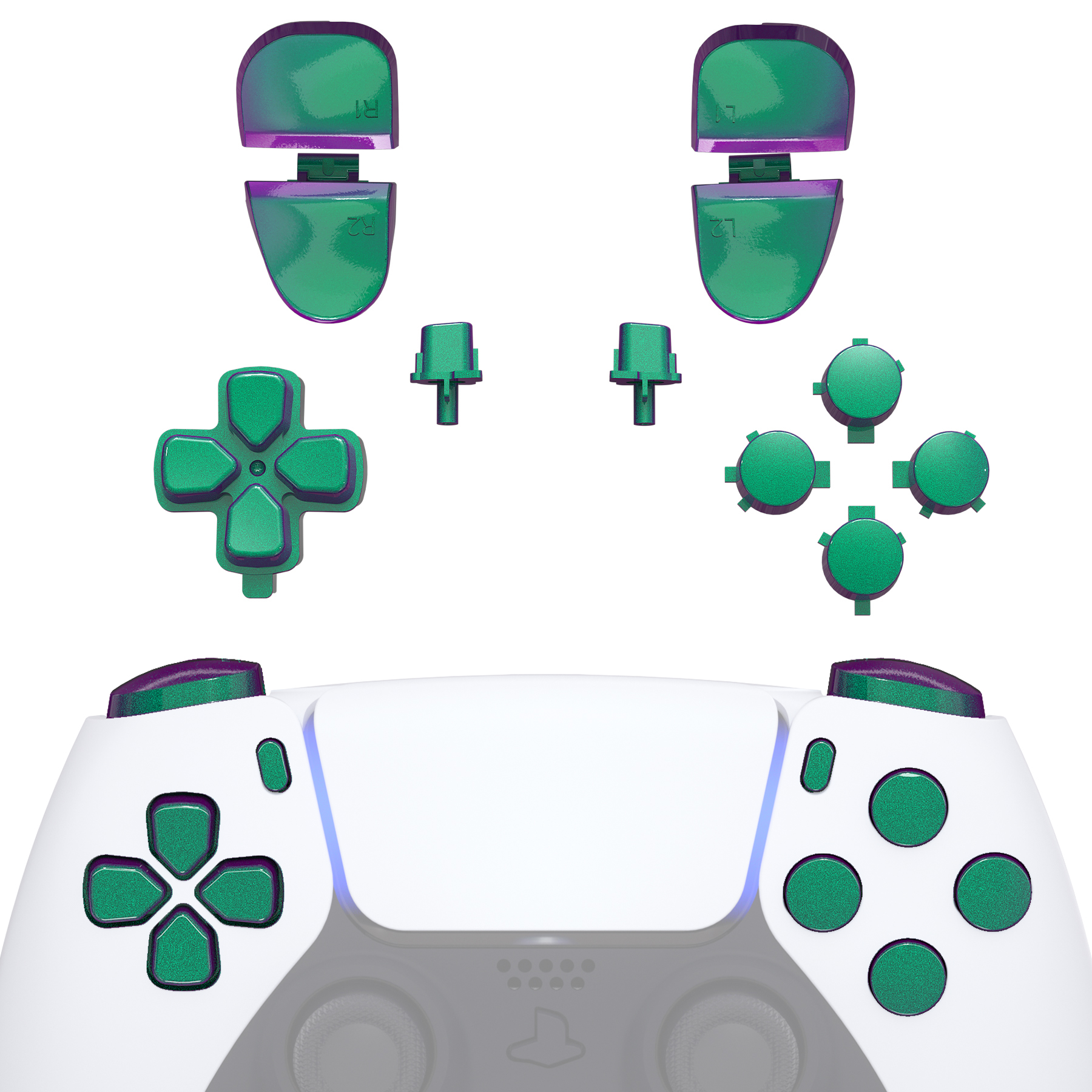 Chameleon Green Purple JPF1002G3WS