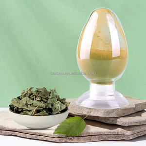 医薬品グレード桑葉エキス粉末安全ハーブ薬アクティブポリフェノールドラム包装中国工場供給 - Product Image 2