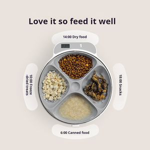 Distributeur automatique de nourriture pour chats et chiens, programmable sur 4 repas, avec compartiment isotherme, pour aliments secs et humides, bol amovible et lavable - Product Image 4