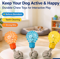 Jouet de tirage pour chien en forme d'ampoule unique, jouet interactif pour chiot, personnalisation prise en charge