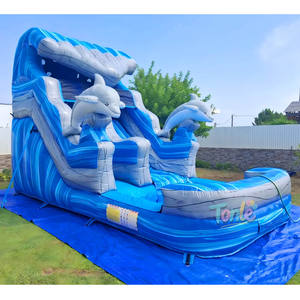 Tobogán Inflable de Grado Comercial, Parque Infantil al Aire Libre para Niños, Grandes Toboganes de Agua, Castillos Inflables, Tobogán Acuático - Product Image 2