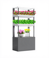 Système de plantation hydroponique vertical à usage domestique contrôlé par application Combinaison gratuite au détail Équipement hydroponique
