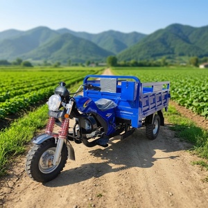 Motocicleta de Tres Ruedas Robusta de Gasolina, Triciclo de Carga con Estructura de Alta Capacidad <span class=keywords><strong>para</strong></span> Transporte Rural y Transporte de Mercancías Domésticas - Product Image 1