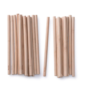 Pailles en bois écologiques et kits de nettoyage (réutilisables) - Product Image 3
