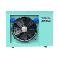 Refroidisseur d'eau à air haute efficacité Ruitong 220V, machine de chambre froide industrielle à condenseur