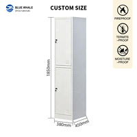 Armoire de rangement métallique OEM personnalisée en acier, casier commercial avec couleur, porte et compartiments personnalisables