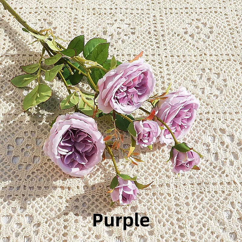 Pourpre