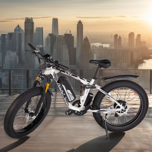 US 2024 Kostenloser Versand 750W Fat Tire Elektro fahrrad mit SHIMANO 7 Speed Changer Electric <span class=keywords><strong>Bike</strong></span> - Product Image 1