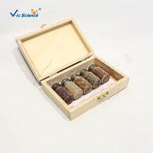Modelo Anatómico de Muestra de Suelo, Material de PVC, Ciencias Médicas - Product Image 5
