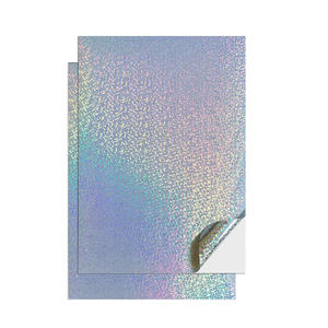 Hojas <span class=keywords><strong>de</strong></span> etiquetas holográficas A4 PET <span class=keywords><strong>de</strong></span> inyección <span class=keywords><strong>de</strong></span> tinta Papel adhesivo <span class=keywords><strong>de</strong></span> vinilo autoadhesivo impermeable - Product Image 3