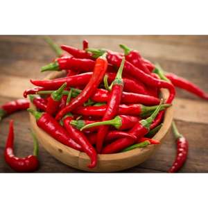 Piment frais cultivé au Vietnam en utilisant des méthodes agricoles sûres niveau élevé de capsaïcine adapté aux marchés mondiaux - Product Image 4