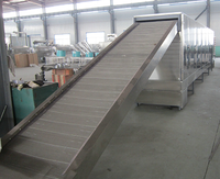 Équipement d'Extrusion pour Snacks Soufflés, Machine à Fabriquer des Snacks