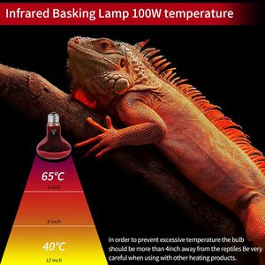 Bombillas para reptiles R63 R80 Lámpara infrarroja 110-130V /220-240V 40W 60W <span class=keywords><strong>100W</strong></span> E26 <span class=keywords><strong>E27</strong></span> - Product Image 5