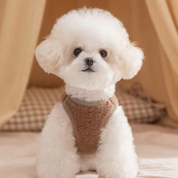 CWFS953 Gilet T-shirt pour chien en coton uni, doux et respirant, motif ours mignon, vêtements chauds d'hiver pour chiots, vêtements d'extérieur pour petits chiens, OEM