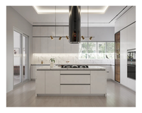 Meuble de cuisine moderne en contreplaqué laqué mat avec accessoires, directement de l'usine