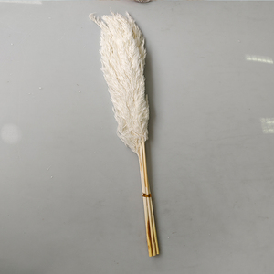 Plumes de roseau en plastique modernes, accessoires de décoration en filet, pot de fleurs rouge sans cheveux pour la maison, le salon et la prise de vue. - Product Image 4