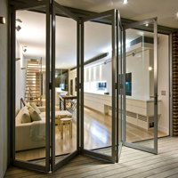 Porte pliante en aluminium pour intérieur Boton |   Filet en acier inoxydable en option |   Équipé d'un design moderne en verre simple