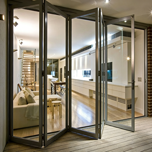 Porte pliante en aluminium pour intérieur Boton |   Filet en acier inoxydable en option |   Équipé d'un design moderne en verre simple - Product Image 2