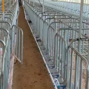 Cages pour animaux personnalisables pour l'élevage et l'engraissement des porcs et des moutons, enclos pour truies, conservation pour enclos et clôtures séparés - Product Image 3