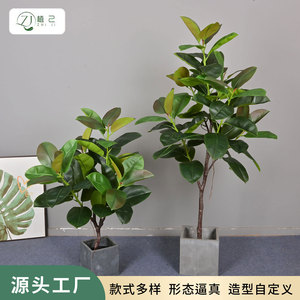 Zhi Ji <b>Artificial</b> Rubber <b>Tree</b> 100cm 200cm Soft Pvc High Simulation Indoor Home Decoration Plant Ornament - Product Image 5