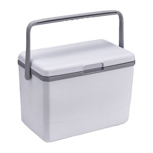 Mini caja enfriadora de 3L, regalo corporativo, personalización, los fabricantes ofrecen promociones, caja enfriadora de hielo para acampar al aire libre, cofre de cerveza - Product Image 1
