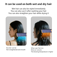 Sèche-cheveux professionnel MK-559F 2-en-1 pour salon, styler à air chaud, lisseur ionique négatif pour cheveux