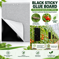 Perangkap Lengket Hitam 20*25cm untuk Tuta Absoluta, Papan Pemantau Daun Tomat Dua Sisi untuk Rumah Kaca, Produsen OEM IPM
