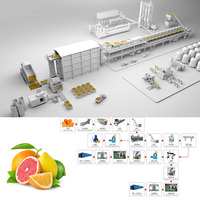 Op maat gemaakte, zeer efficiënte, volautomatische fruitproductielijn (1-25 ton per uur) voor de productie van sinaasappelsap