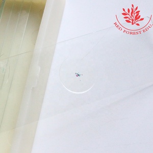 Diapositivas preparadas para la ciencia médica, un juego de 17 tipos de toboganes de algas, diferentes tipos de algas de secciones, toboganes preparados de Botánica de algas - Product Image 2