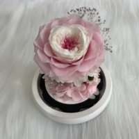 Austin et rose éternels nouveau style 2022 en dôme de verre pour cadeau de saint-valentin