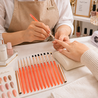 Ensemble de 12 pinceaux à ongles flexibles à pointe fine avec manche en acrylique, kit d'outils de manucure pour salon, peinture au gel