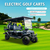 Voiturette de golf électrique tout-terrain Tarion personnalisable 6 places avec batterie au lithium, pneus tout-terrain, caddie arrière, vitesse 35 km/h, autonomie 90 km, en acier