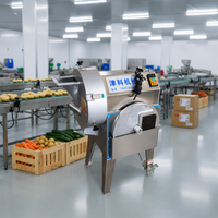 Industriële aardappel- en groentesnijmachine, snijdt, raspt, dooit, multifunctionele voedselverwerkingsapparatuur, 220V/380V, fabriek