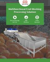 Borstelroller Perzik Pompoen Verwerking Fruit Schoonmaken Waxen En Grade Machine Voor Fruit