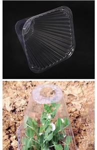 Duradero y Ecológico, Ofrece Protección Transparente para Plántulas, Apilable y Resistente, Puede Prevenir el Frío Extremo - Product Image 4