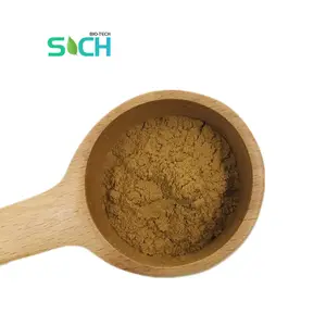 Werkspreis Yerba Mate Blattenextrakt/Paraguay-Tee Yerba Mate Extrakt Pulver/Massenware Yerba Mate Extrakt