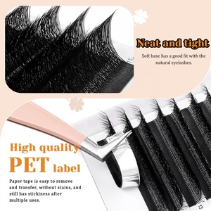 Personnaliser les faux cils individuels en forme de W de 0,07 mm avec logo privé, effet mat naturel, extensions de cils - Product Image 5