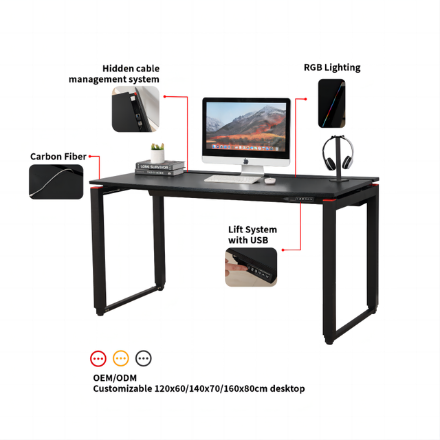 ADA Ergonomic Electric Single Motor Tables Height Adjustable Standing Computer Gaming Desk Stable Four Legs for Home Use