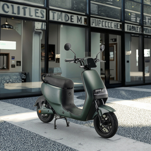 Scooter Eléctrico de Aluminio con Batería Extraíble de Litio de 48V 21AH 800W, Fabricado en China con Certificación EEC COC - Product Image 1